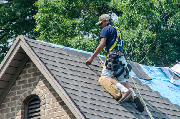 Best Storm Damage Roof Repair  in Dawson, MN
